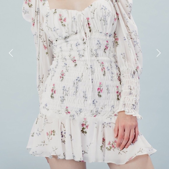 For love and Lemons 🍋 Dixon mini dress NEW FIRM - Picture 4 of 5